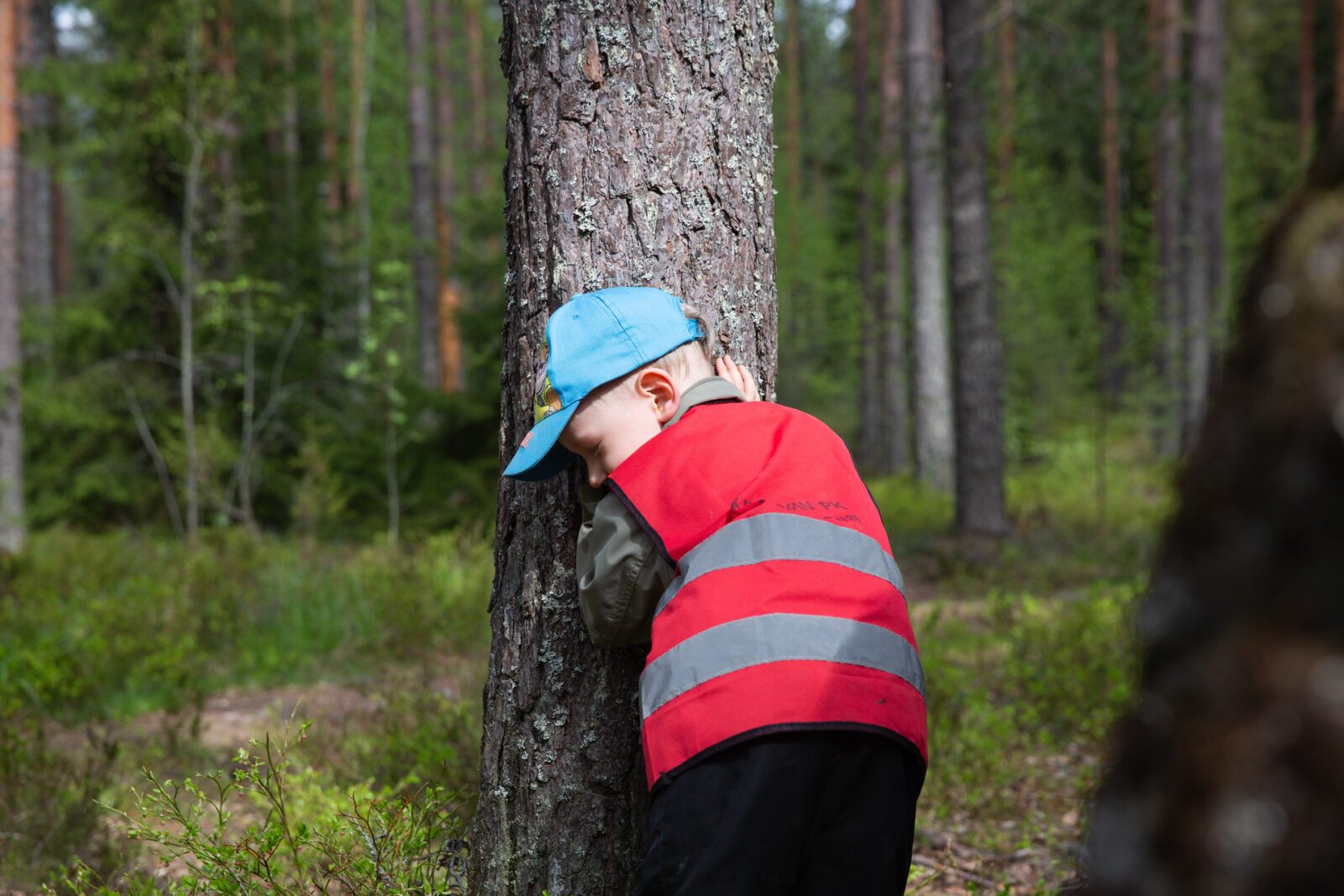 Lahti tuo oppitunnit luonnon syliin